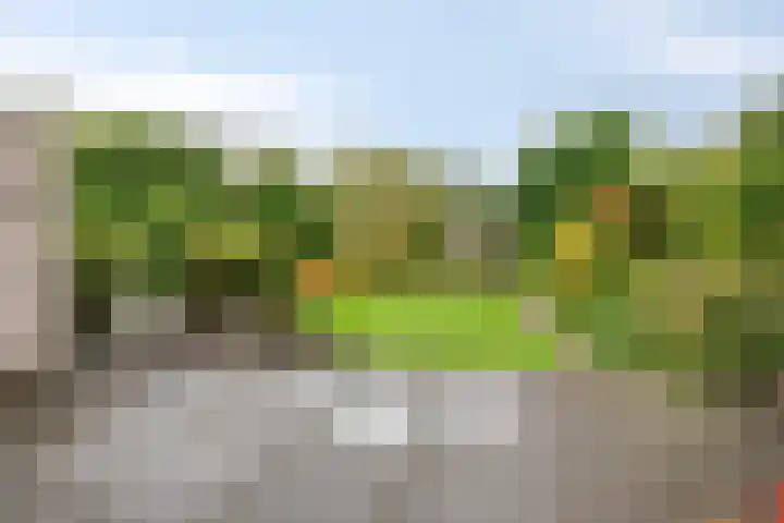 Grevelingen 36 Pijnacker thumbnail 35