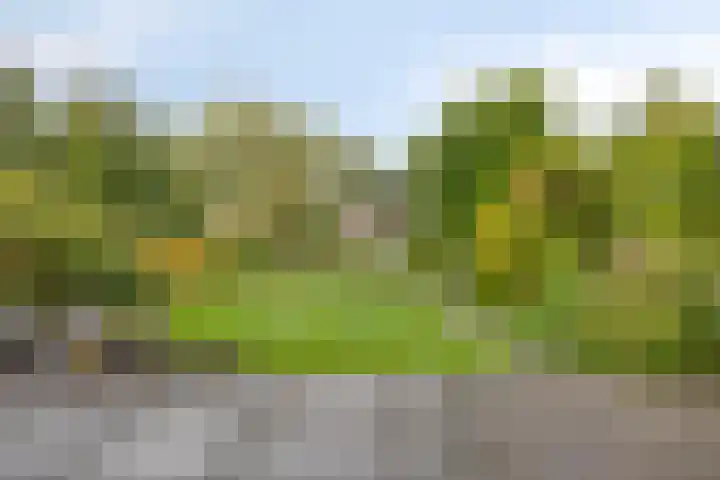 Grevelingen 36 Pijnacker thumbnail 36