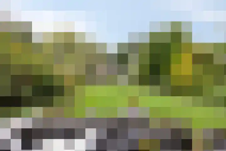 Grevelingen 36 Pijnacker thumbnail 37