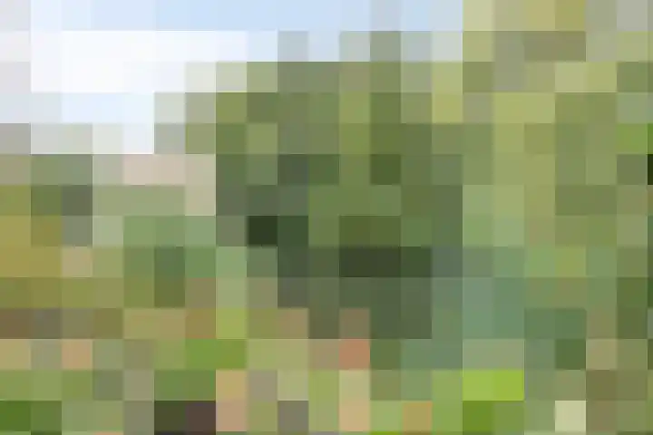 Grevelingen 36 Pijnacker thumbnail 4