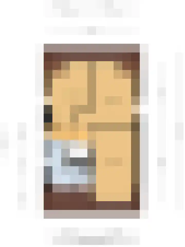 Grevelingen 36 Pijnacker thumbnail 40