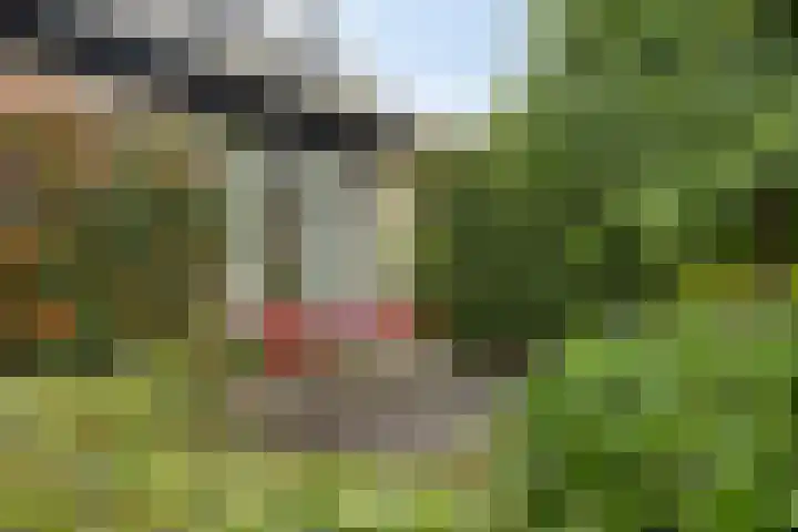 Grevelingen 36 Pijnacker thumbnail 7