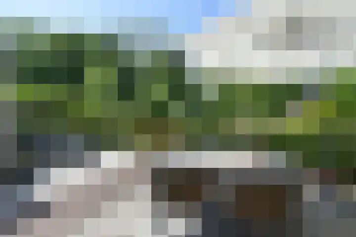 Grevelingen 38 Pijnacker thumbnail 12