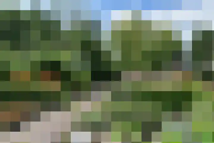 Grevelingen 38 Pijnacker thumbnail 14