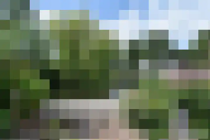 Grevelingen 38 Pijnacker thumbnail 15