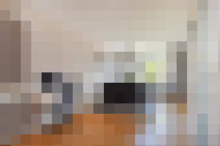 Grevelingen 38 Pijnacker thumbnail 17