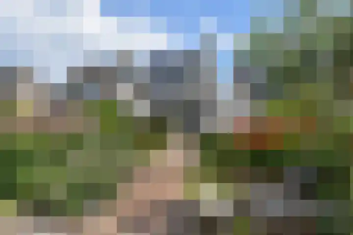 Grevelingen 38 Pijnacker thumbnail 19