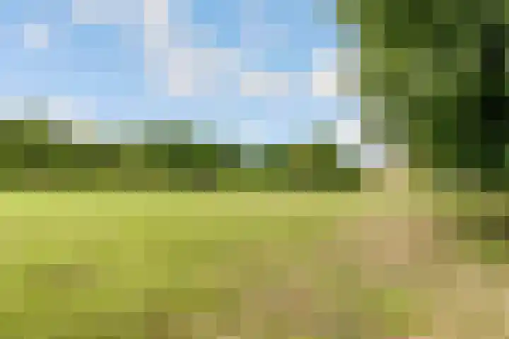 Grevelingen 38 Pijnacker thumbnail 22