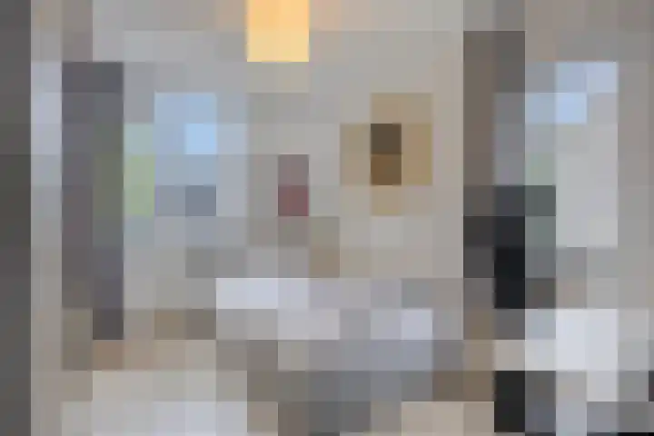 Grevelingen 38 Pijnacker thumbnail 23