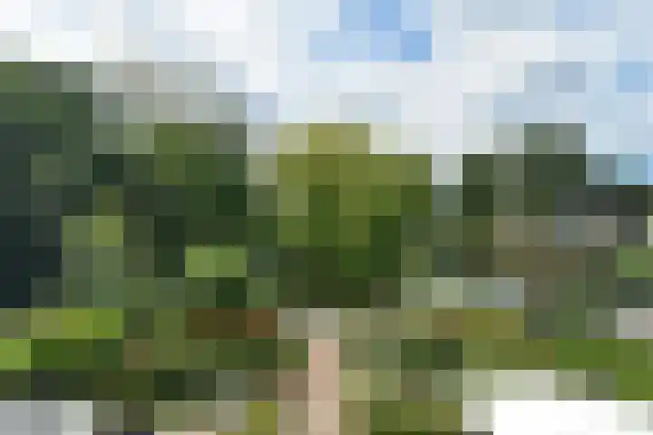 Grevelingen 38 Pijnacker thumbnail 24