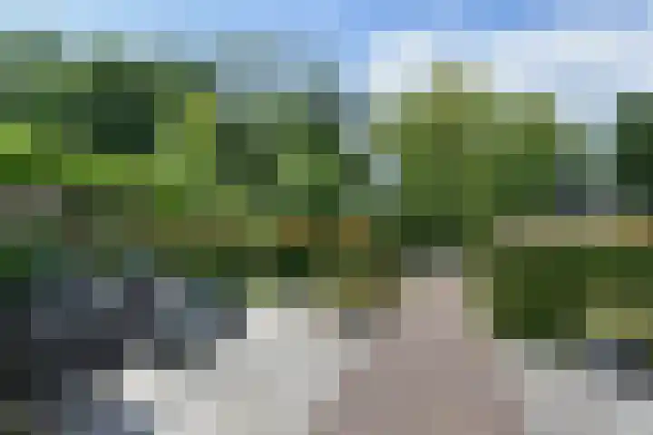 Grevelingen 38 Pijnacker foto 3