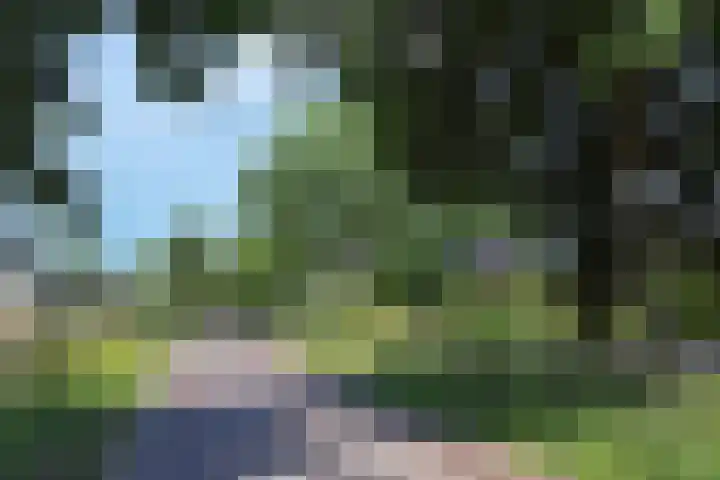 Grevelingen 38 Pijnacker thumbnail 33