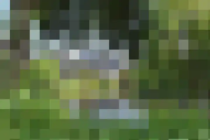 Grevelingen 38 Pijnacker thumbnail 38