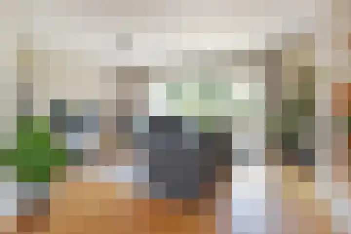 Grevelingen 38 Pijnacker thumbnail 8