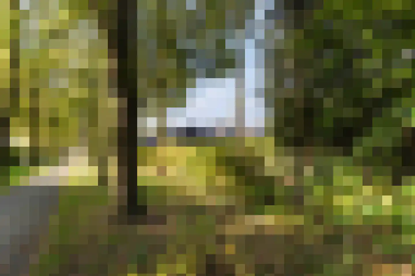 Grevelingen 73 Tilburg thumbnail 74