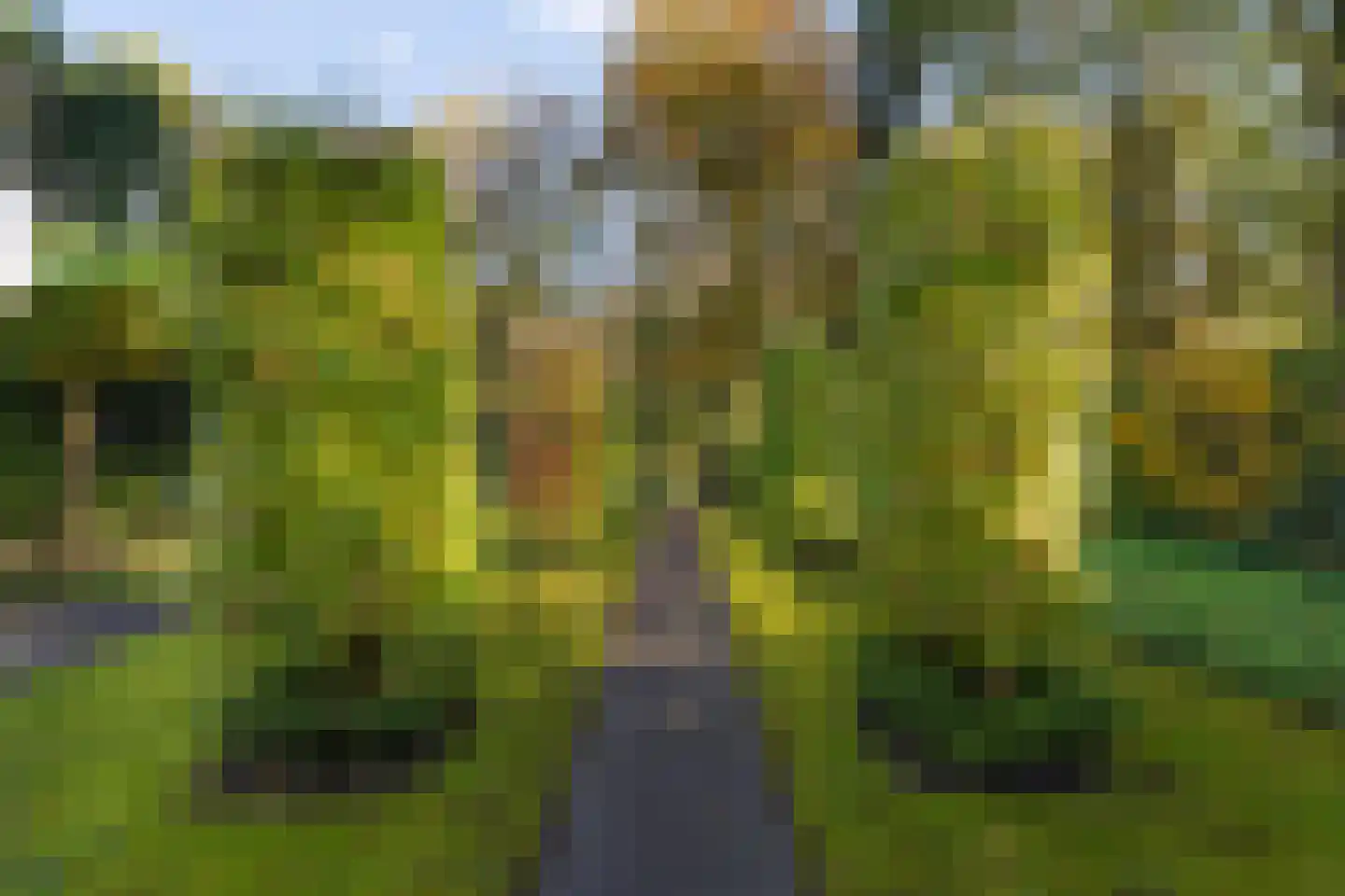 Grevelingen 73 Tilburg thumbnail 75