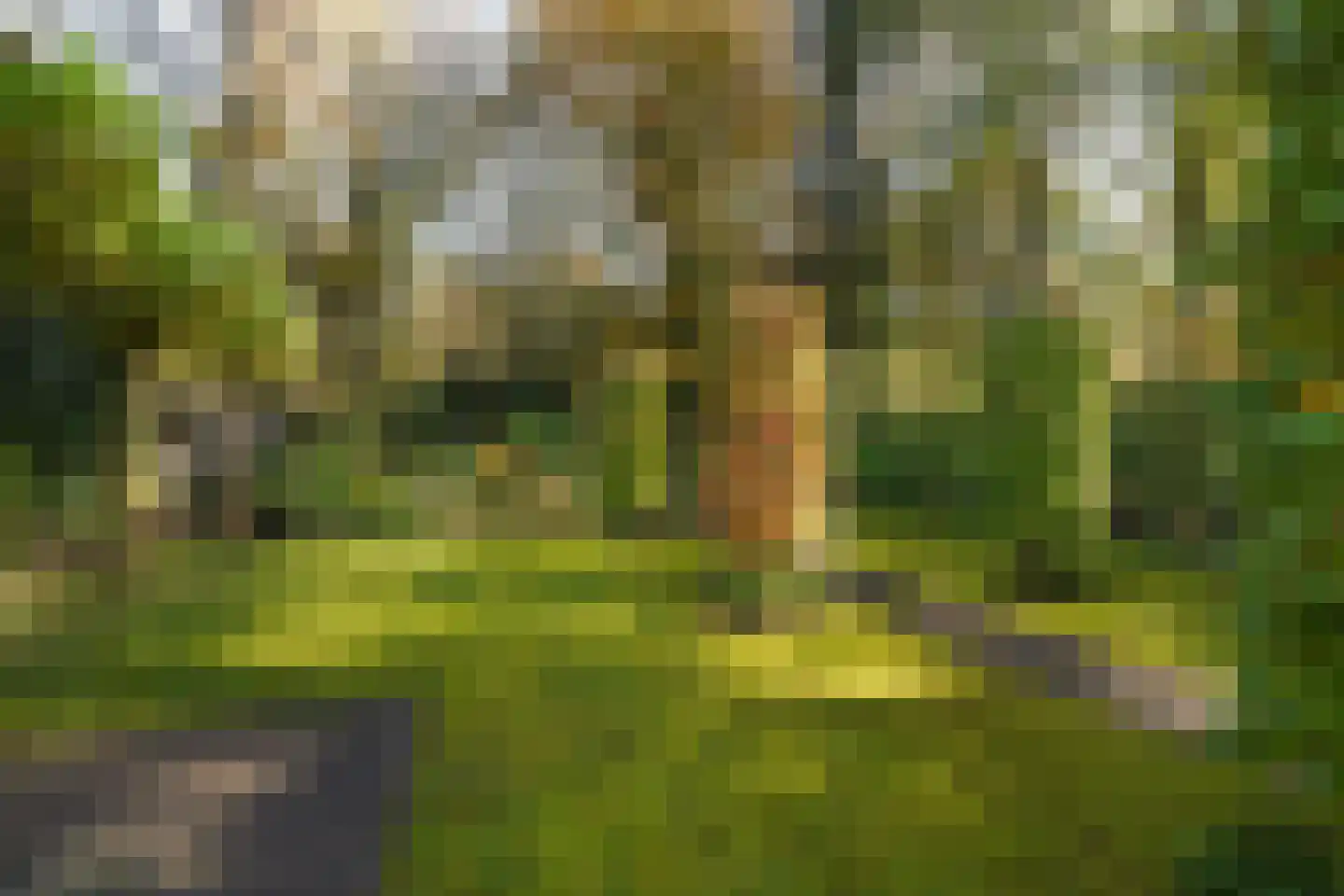 Grevelingen 73 Tilburg thumbnail 76