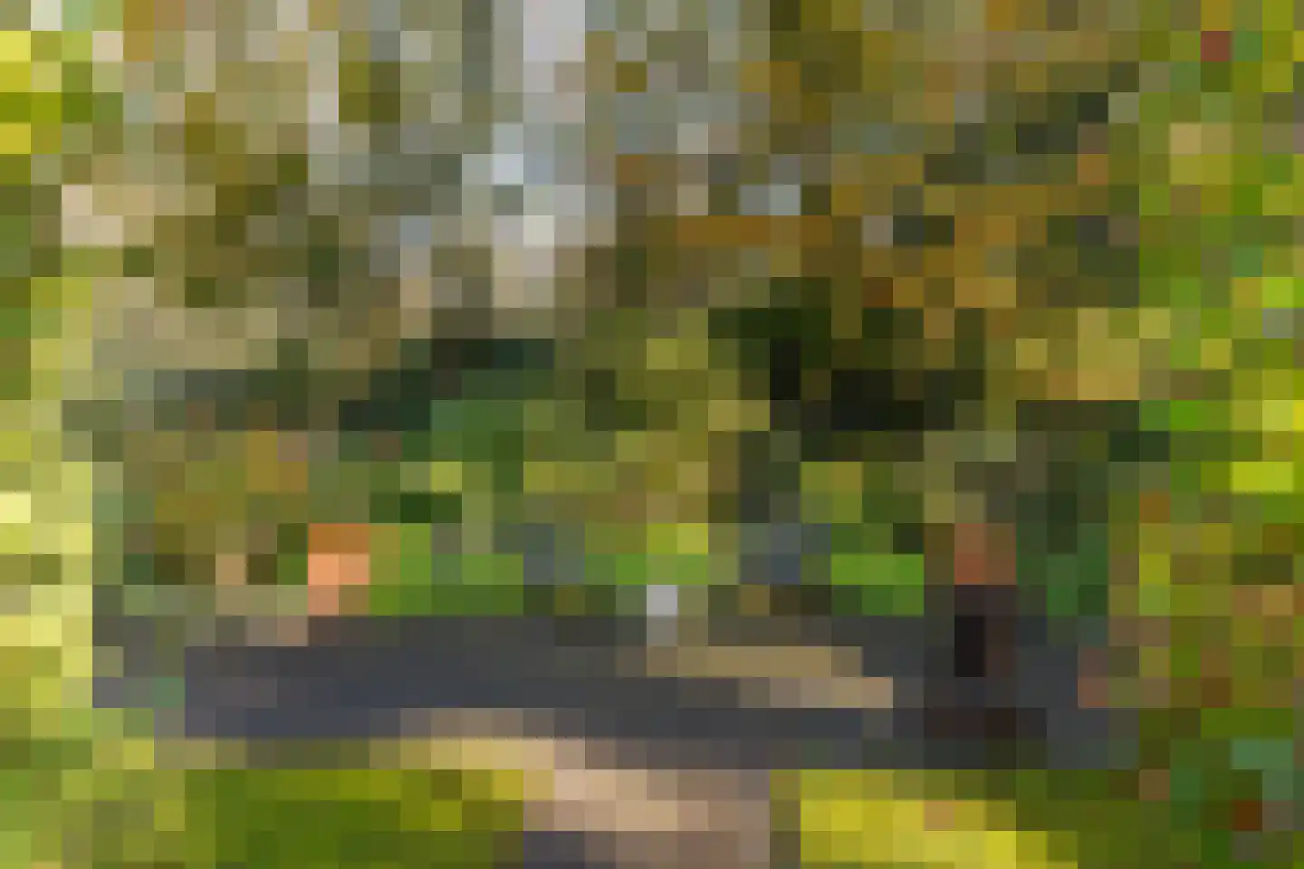 Grevelingen 73 Tilburg thumbnail 77