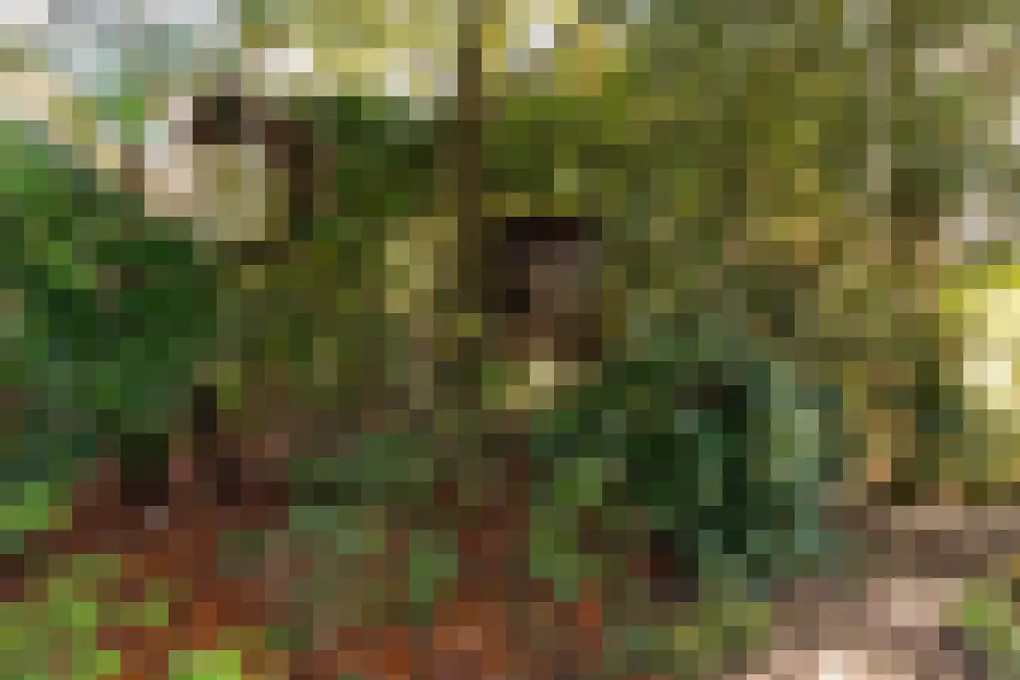 Grevelingen 73 Tilburg thumbnail 78