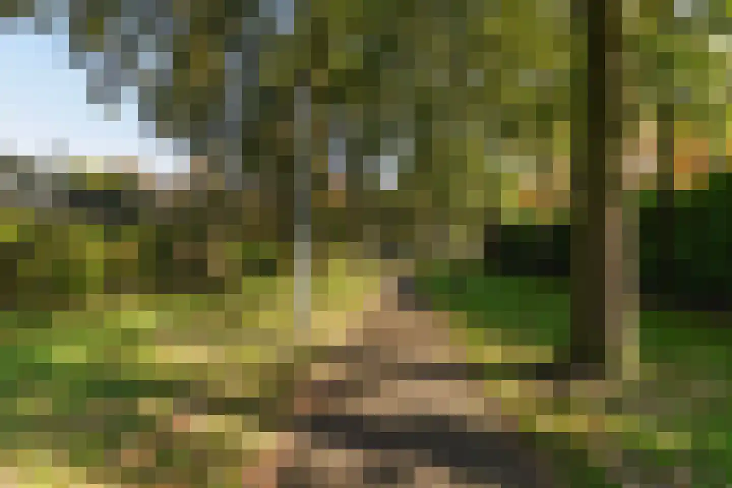 Grevelingen 73 Tilburg thumbnail 80