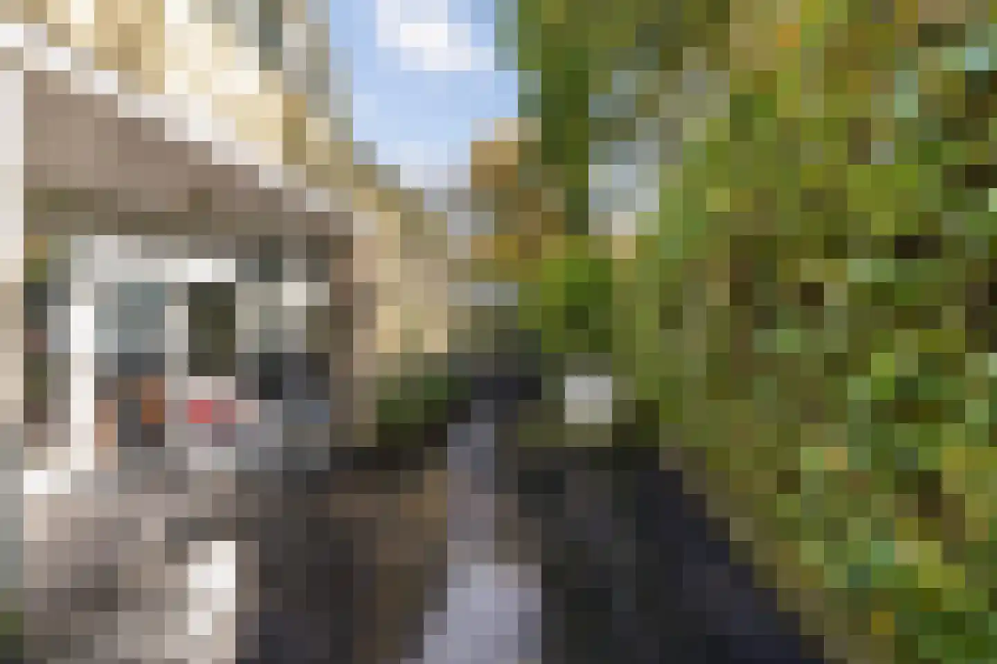 Grevelingen 73 Tilburg thumbnail 84