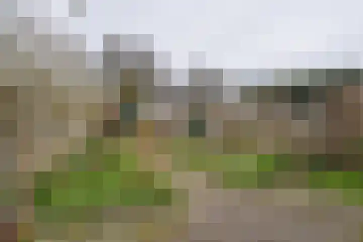 Grevelingenmeer 60 Purmerend thumbnail 29