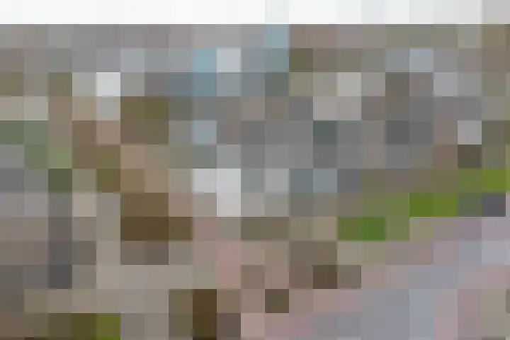 Grevelingenmeer 60 Purmerend thumbnail 4