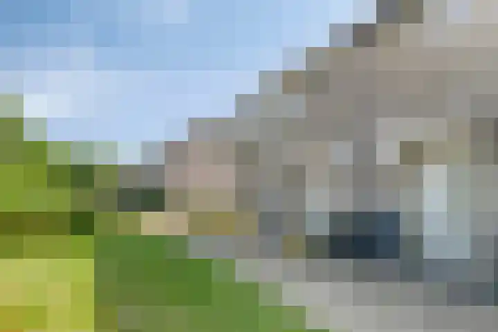 Grevelingenpad 24 Almere thumbnail 10