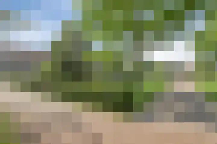Grevelingenpad 24 Almere thumbnail 9