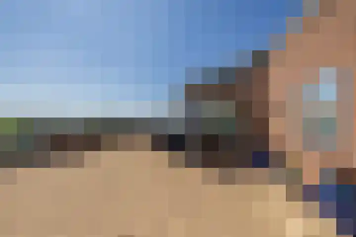 Grevelingstraat 148 Lisse thumbnail 22