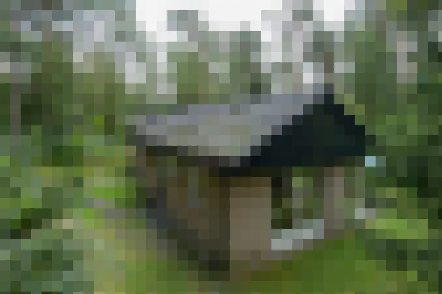 Grevenhout 21 130 Uddel thumbnail 4