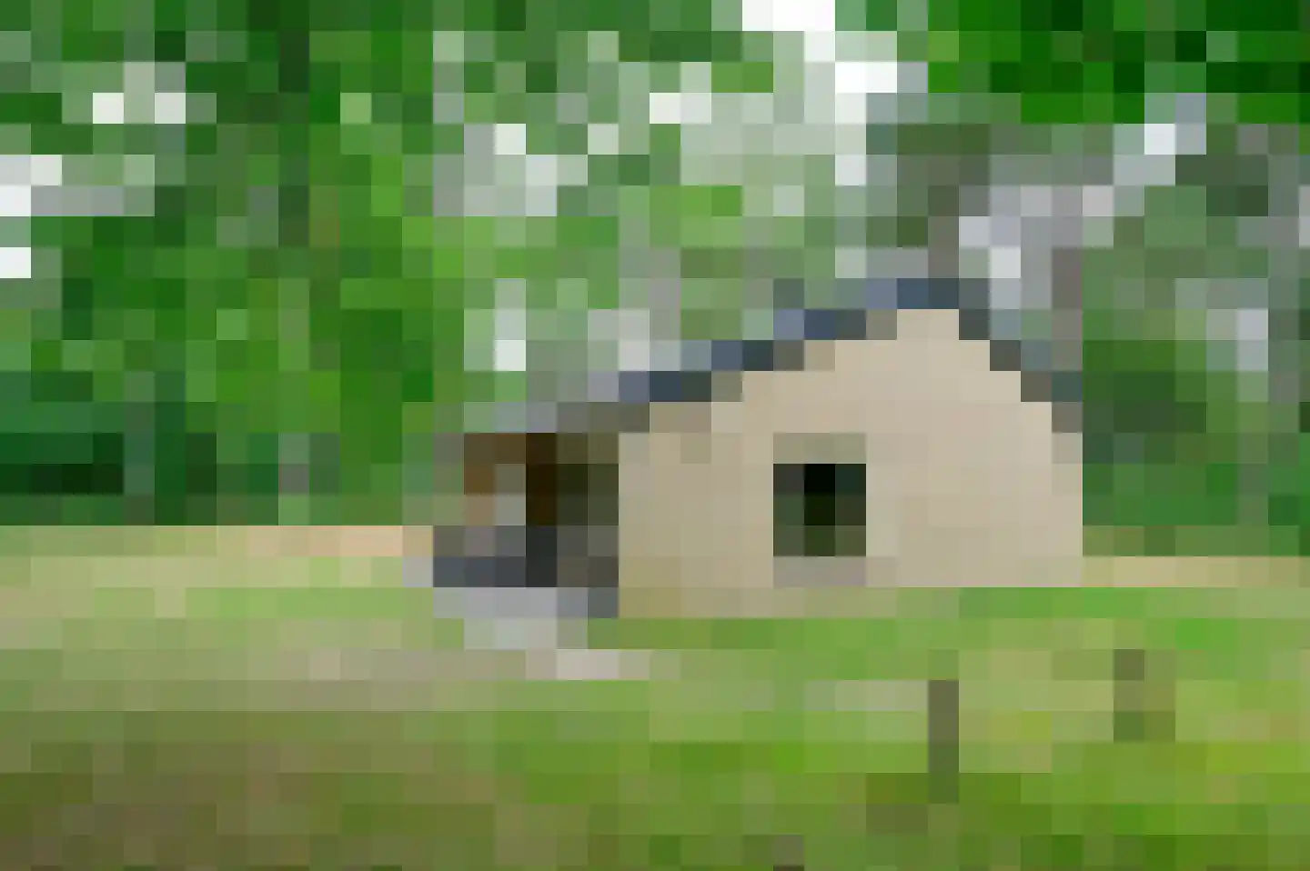 Grevenhout 21 191 Uddel thumbnail 15