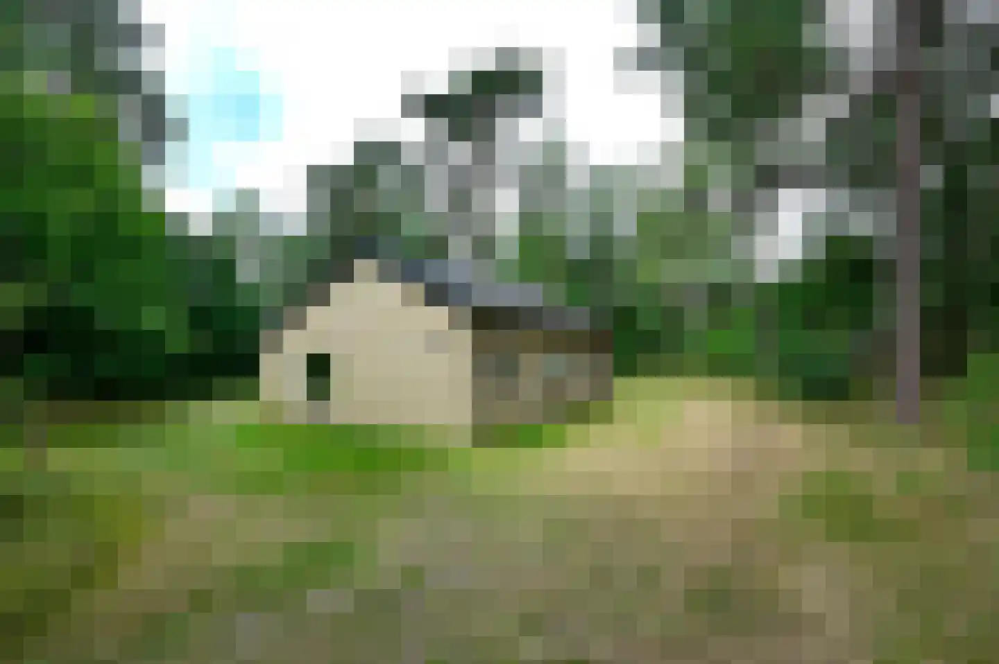 Grevenhout 21 191 Uddel thumbnail 17