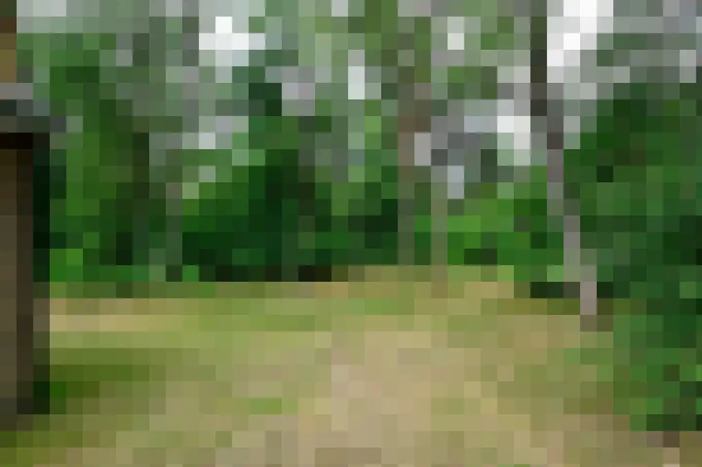 Grevenhout 21 191 Uddel thumbnail 18