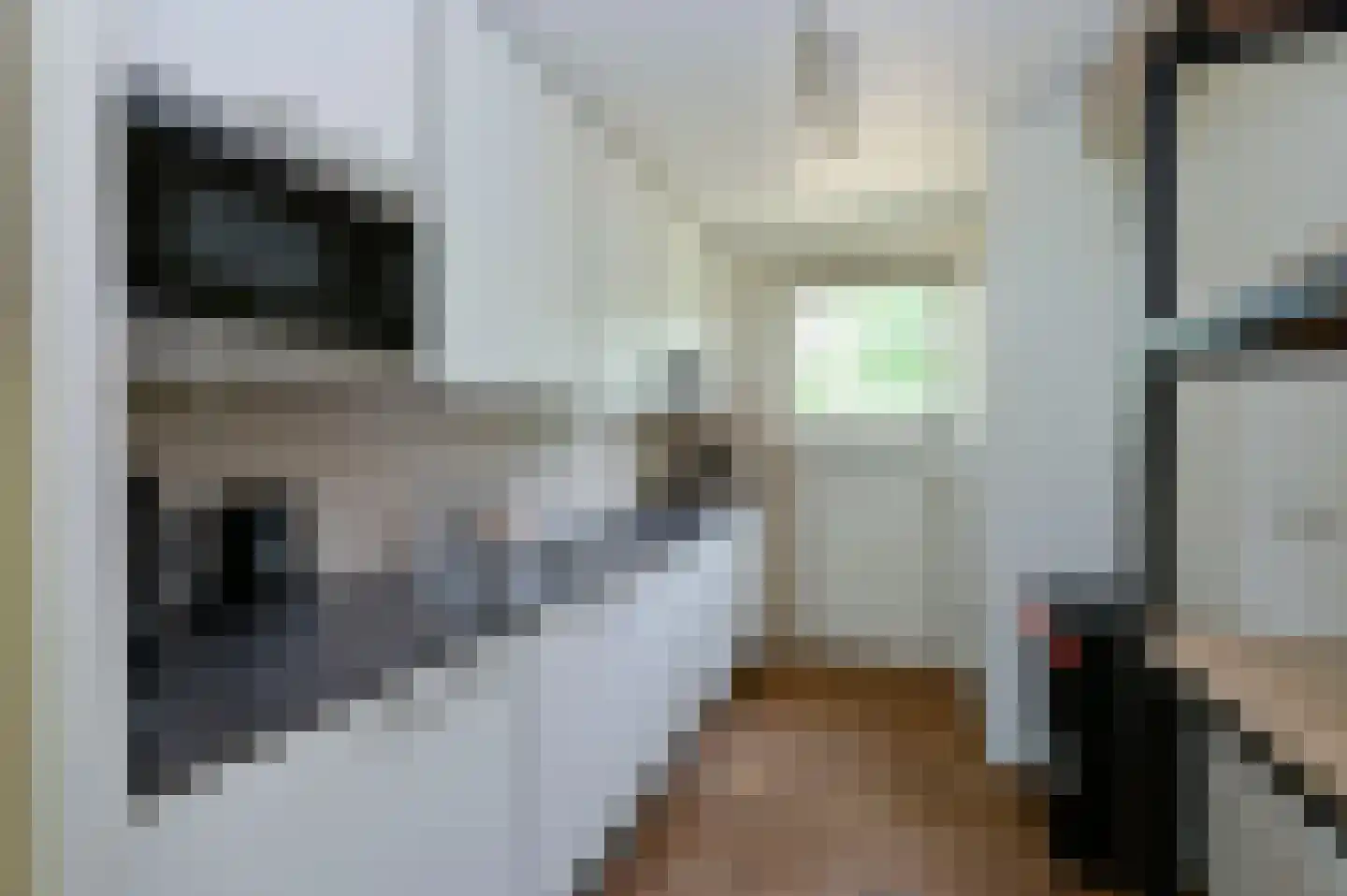 Grevenhout 21 191 Uddel thumbnail 8