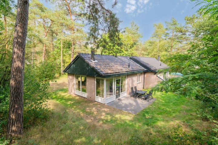 Grevenhout 21-217 in Uddel foto