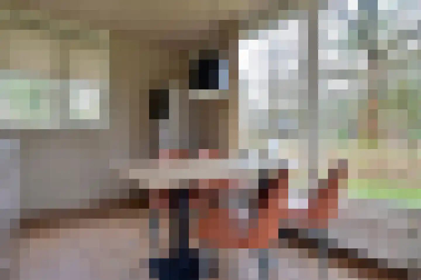 Grevenhout 21 311 Uddel thumbnail 13
