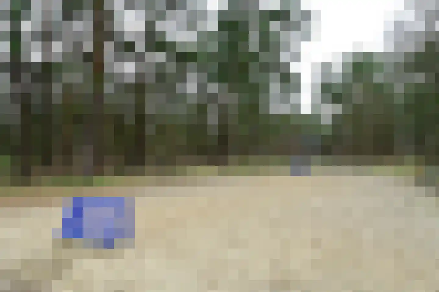 Grevenhout 21 311 Uddel thumbnail 26
