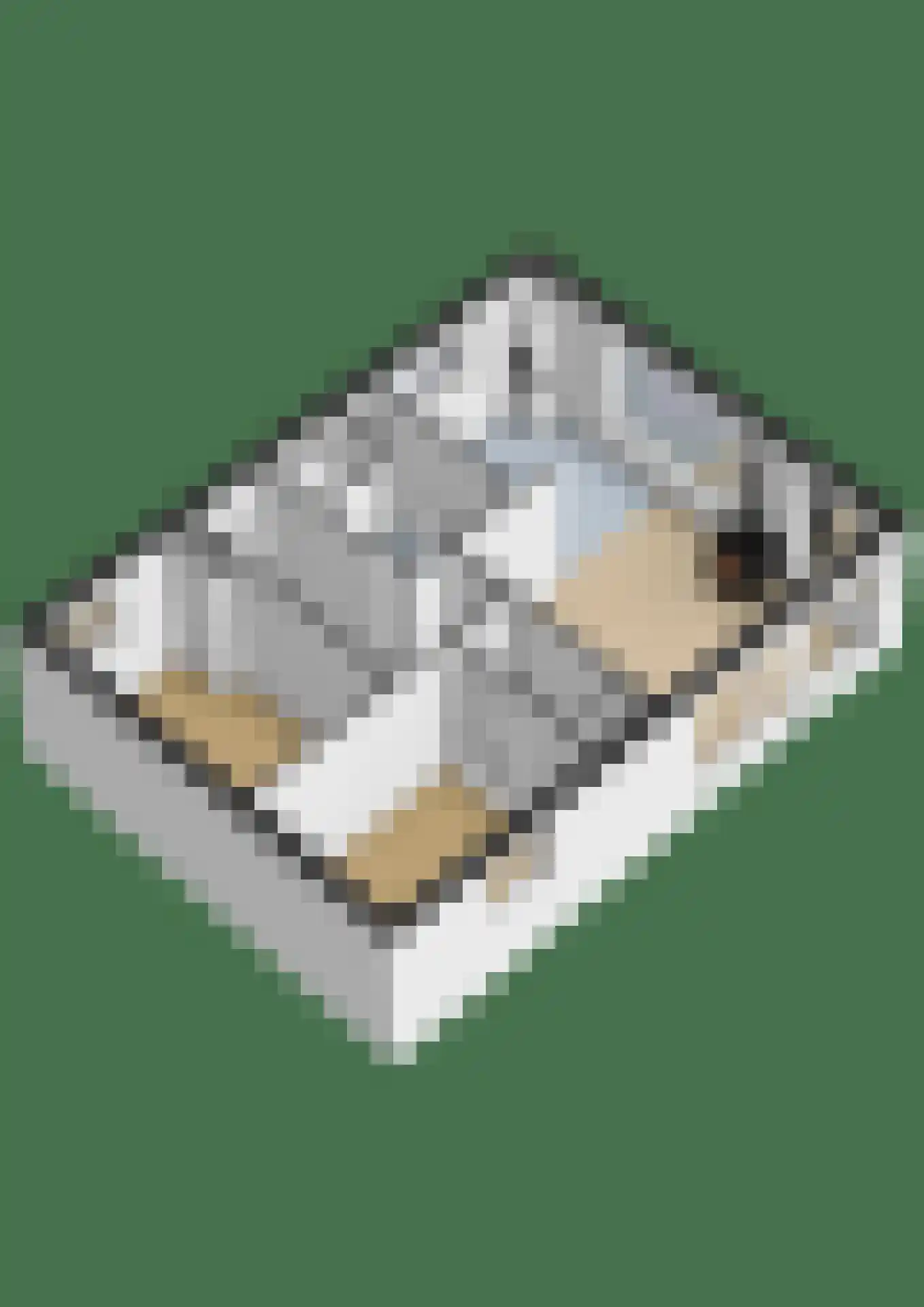 Grevenhout 21 311 Uddel thumbnail 29