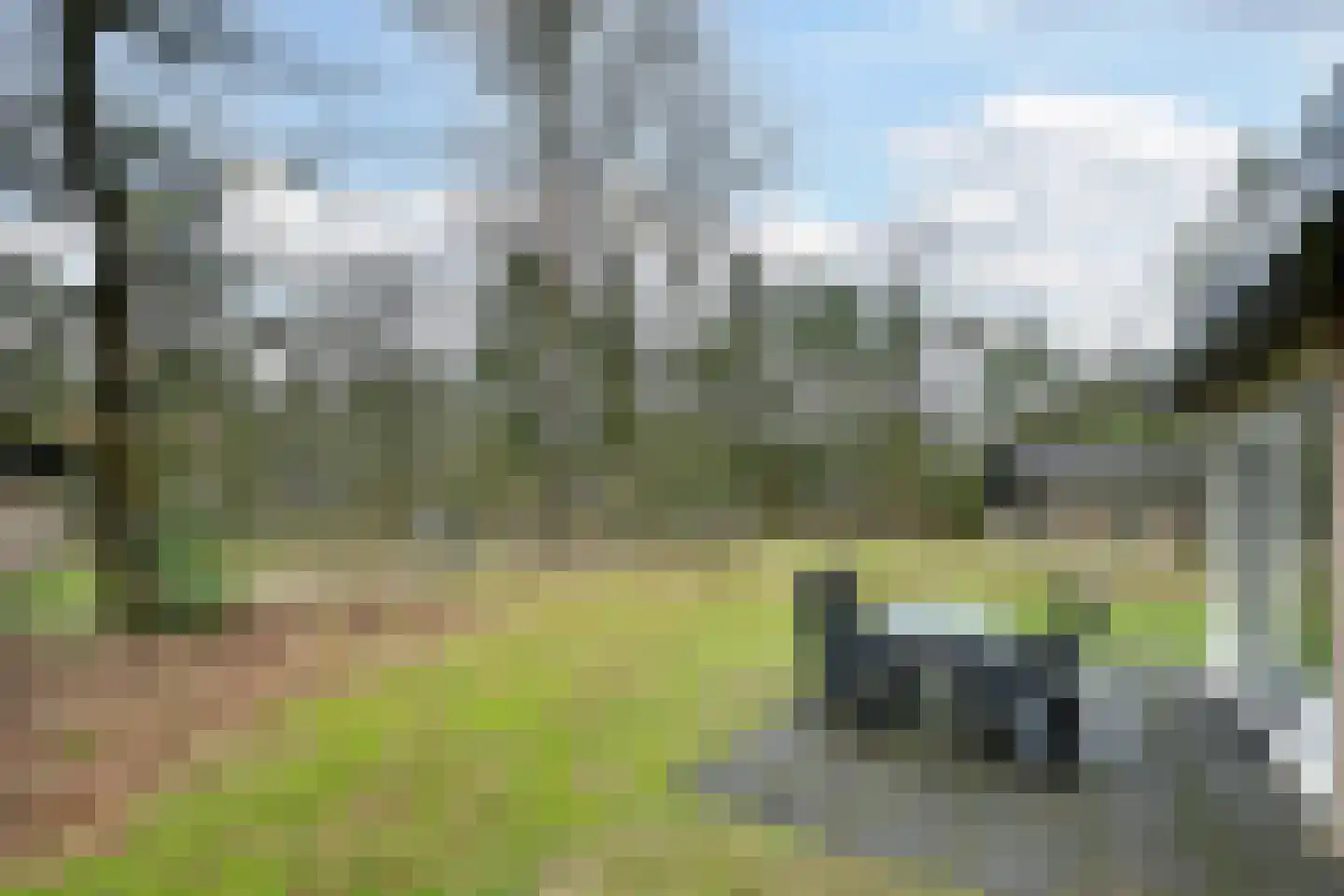 Grevenhout 21 312 Uddel thumbnail 19