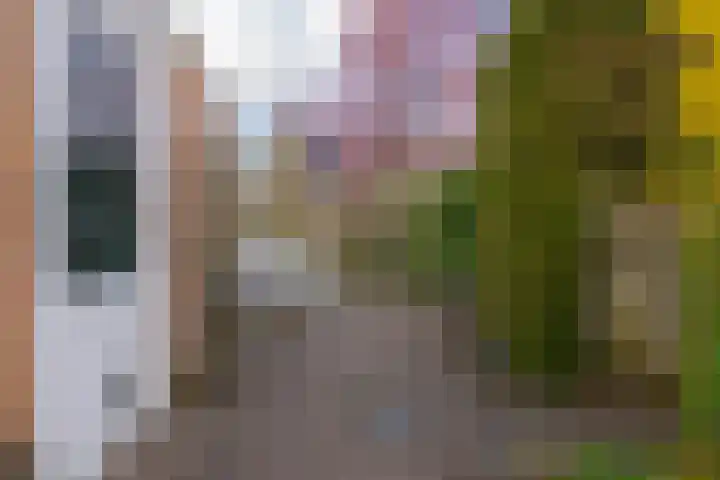 Grevenmate 18 Zwolle thumbnail 27