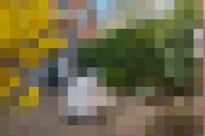 Grevenmate 18 Zwolle thumbnail 32