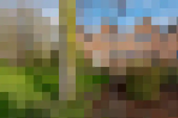 Grevenmate 18 Zwolle thumbnail 54