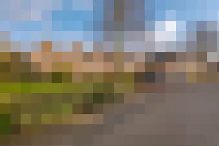 Grevenmate 18 Zwolle thumbnail 7