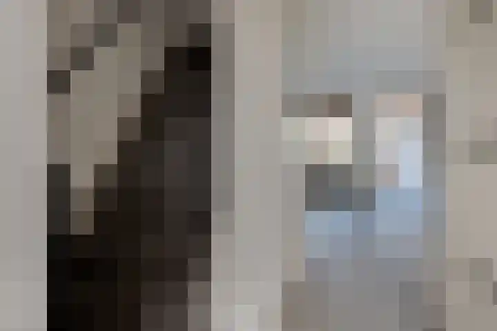 Grevenmate 18 Zwolle thumbnail 9