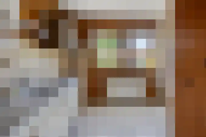 Grevenmate 9 Zwolle thumbnail 11