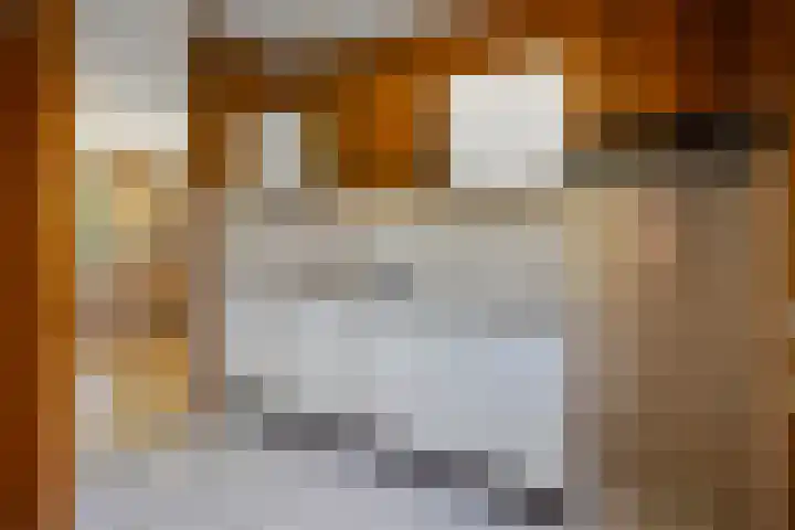 Grevenmate 9 Zwolle thumbnail 12