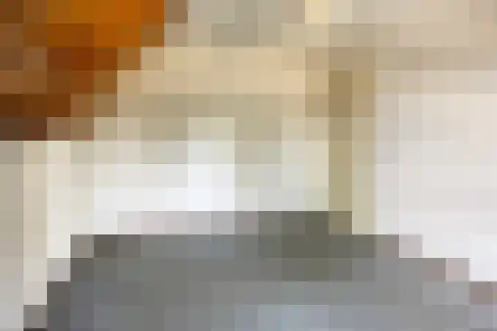 Grevenmate 9 Zwolle thumbnail 17
