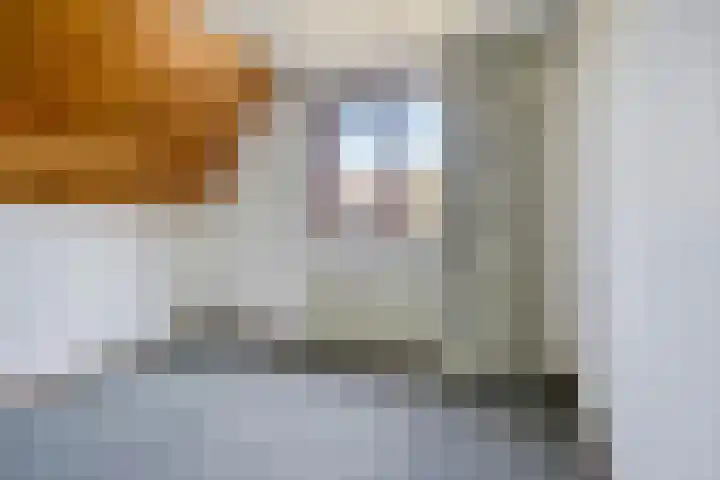 Grevenmate 9 Zwolle thumbnail 21