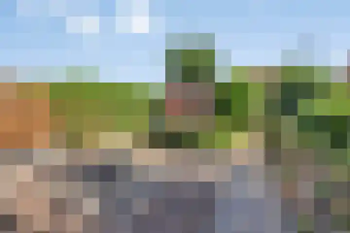 Grevenmate 9 Zwolle thumbnail 24
